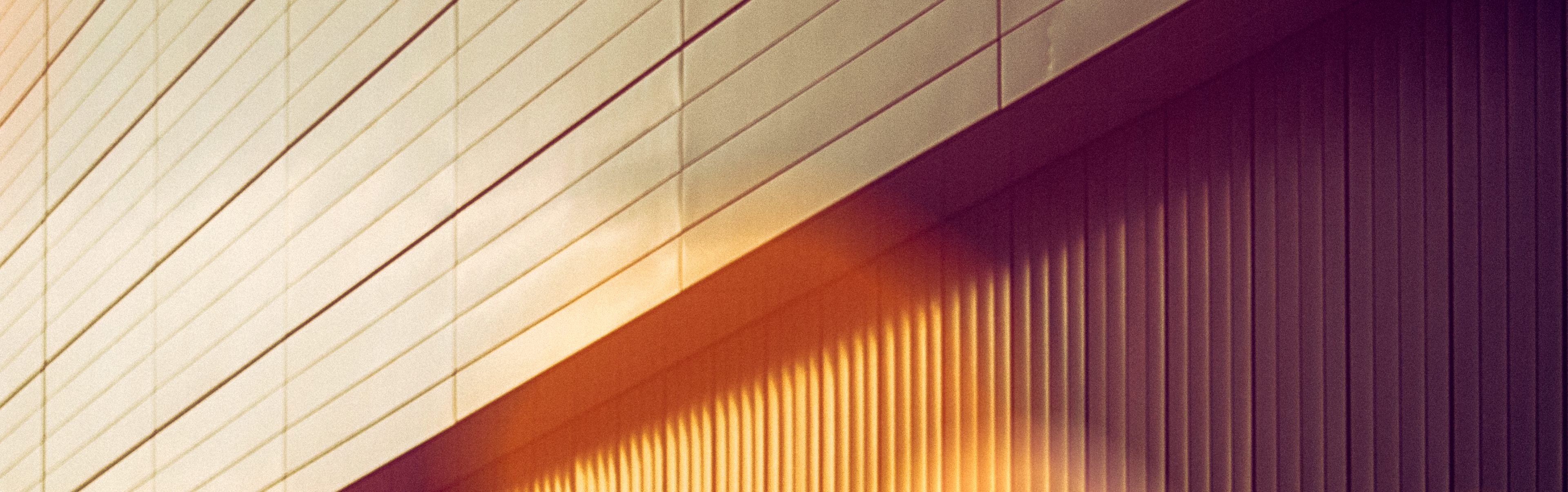 Multilingual Member Experience